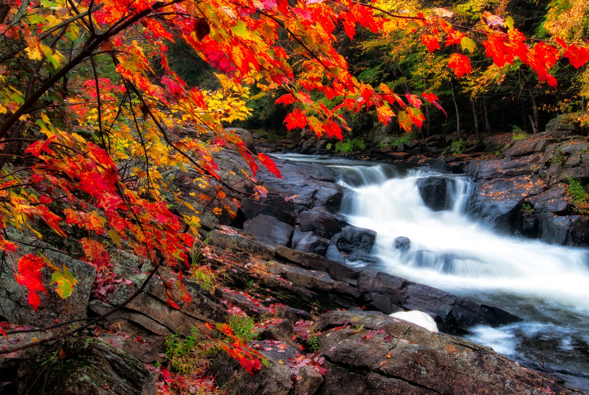 momiji peinture photo of waterfalls during fall season