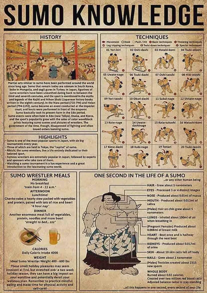sumo
